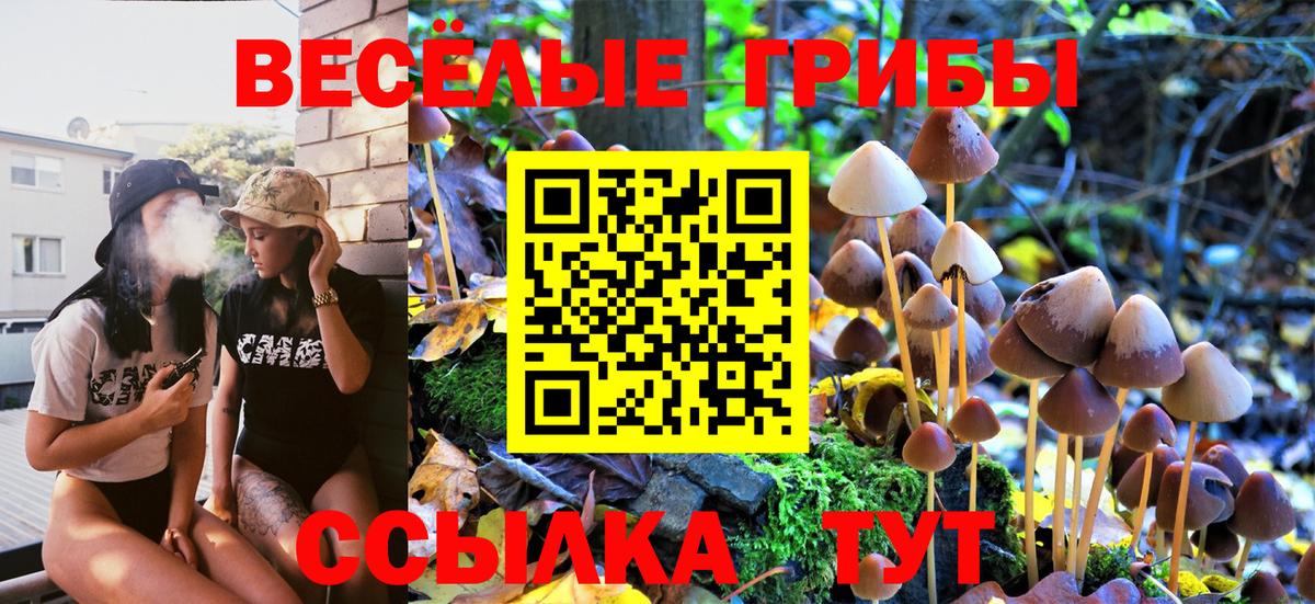 Псилоцибиновые грибы ЛСД  купить   Вход с VPN  Кулебаки  Галлюциногенные грибы прущие грибы 